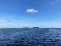 2. Tag – Bootsfahrt auf dem Shannon und Lough Ree bei Athlone