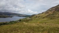 Donegal