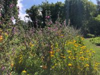 Botanischer Garten Samarès Manor (6).jpeg