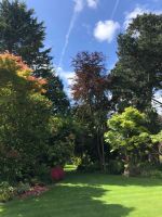 Gartentour Privatgarten 2 (2).jpeg