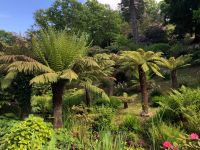 Umgebung des Chateau la Chaire.jpeg