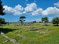 Paestum 