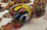 Glas-Schildkröte, Mdina