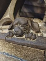 Bitte streichel mich!