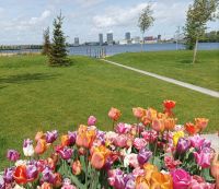 Besuch der Floriade in Almere