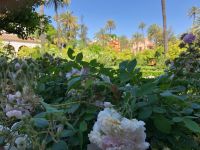 SEVILLA - Spaziergang Garten des Alcazar Real