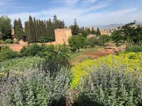 GRANADA - Alhambra