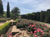 GRANADA - Blick zur Sierra Nevada von den Gärten der Alhambra