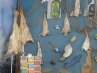 portugiesische Spezialitäten: Stockfisch und Sardinen