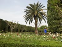 Schönheit wohin das Auge blickt