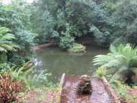 Nationalpark Bussaco