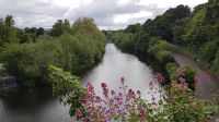 Kilkenny