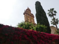 Blumenpracht
