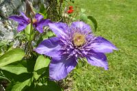 Tag 6 18.05.2022 Ninfagarten 