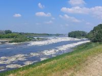 Radreise Frankreich: Loire - Die Loire bei Germiny