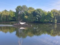 Radreise Frankreich: Loire - Ein typischer Kahn auf dem Cher