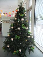 Weihnachten im Mai