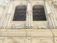 Salamander und Hermelin 