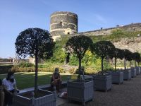 Angers im Schlosshof