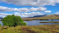 20220528 170806  Rannoch Moor