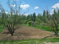 Fahrt mit der Bagdadbahn von Nigde nach Yenice...