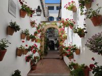 039-Cordoba
