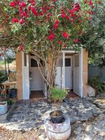 Küstenstraße zwischen Mersin und Antalya... (Toilettenpause)