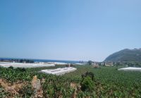 Küstenstraße zwischen Mersin und Antalya... 