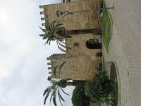 Alcudia