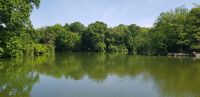 Central Park