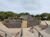 062-Donana NP