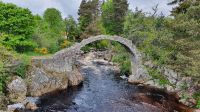 20220531 091015 The old Packhorse Bridge in Carrbridge