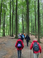herrlicher Buchenwald im Nationalpark Jasmund 