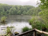 Herthasee kurz vor dem Dokumentationszentrum 