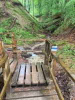 gut beschilderter Wanderweg durch den Jasmund Nationalpark