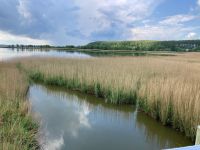 Wanderung am Grossen Jasmunder Bodden