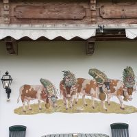 Müllnerhof in Oberndorf