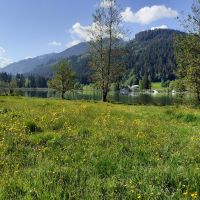 Schwarzsee