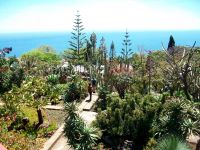 Botanischer Garten