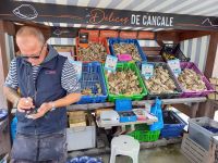 Einer der Austernstände auf dem Frischemarkt von Cancale
