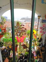 Lissabon Blick auf Kreuzfahrtschiffe 3