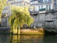 doch ein sonniger Abend