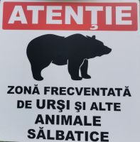 Bärenalarm gibt es hier jeden Tag Predeal