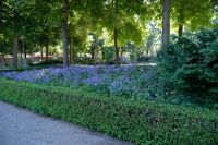 Im Rosengarten