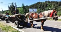Das Heu vom Feld wird in der Bukovina mit dem Pferdewagen transportiert