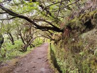 Wanderung zu den 25 Quellen