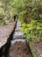 Wanderung zu den 25 Quellen