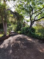 Botanischer Garten von Funchal