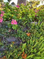 Botanischer Garten von Funchal