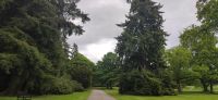 066 Glamis Castle, Landschaftspark und Italienischer Garten